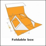 foldable box for shoe