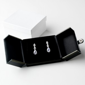 earring box with special wings