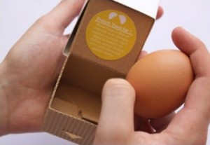 single egg box with corrugated paper